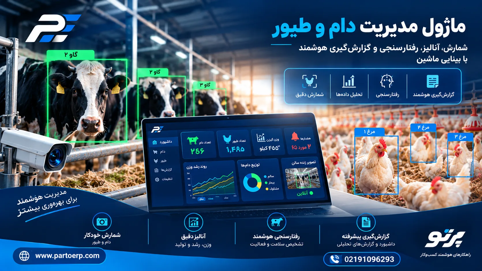 نرم افزار مدیریت دام و طیور پرتو | شمارش، آنالیز و رفتارسنجی با بینایی ماشین